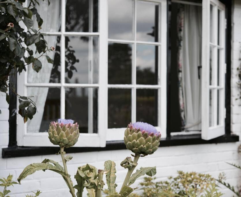 Highfield Lodge Трінґ Екстер'єр фото